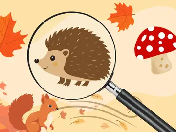 Herfstspeurtocht