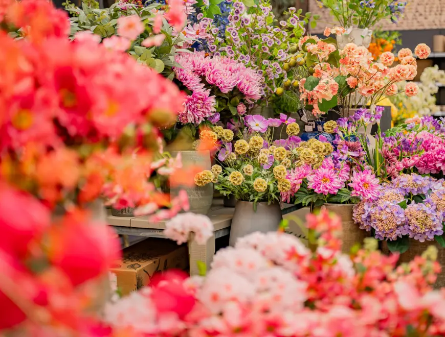 Zijdenbloemen