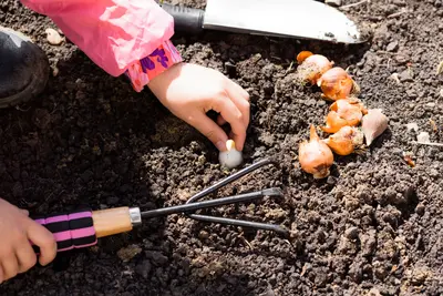 Bollen planten met de kleintjes: tips voor een bloeiend voorjaar