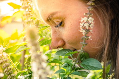 De kracht van aromatische kruiden in je tuin en keuken