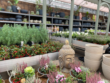 Onze vernieuwde winkel